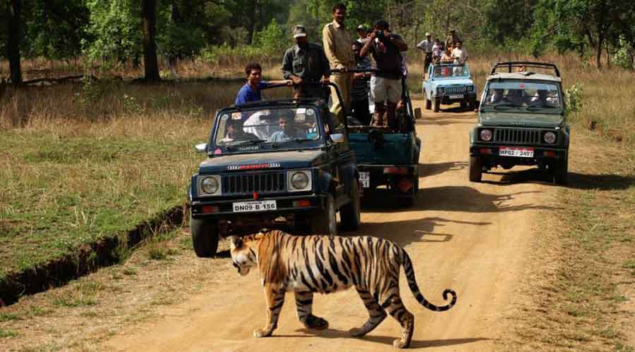12 Nights and 13 Days
 Customize Now This tour is as per your convenience. You are completely free to choose car, hotel, places to visit, and activities as per your wish and comfort. Or you may also follow the suggested itinerary to help you plan your trip.


Delhi (1N)
Corbett (2N)
Agra (2N)
Bharatpur (1N)
Ranthambhore (2N)
Jaipur (2N)
Sariska (2N)