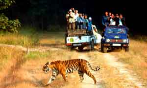 10 Nights and 11 Days
 Customize Now This tour is as per your convenience. You are completely free to choose car, hotel, places to visit, and activities as per your wish and comfort. Or you may also follow the suggested itinerary to help you plan your trip.


Delhi (2N)
Agra (1N)
Bharatpur (1N)
Ranthambhore (2N)
Jaipur (2N)
Mandawa (2N)