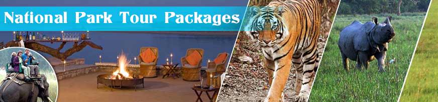 National Park Tour Packages