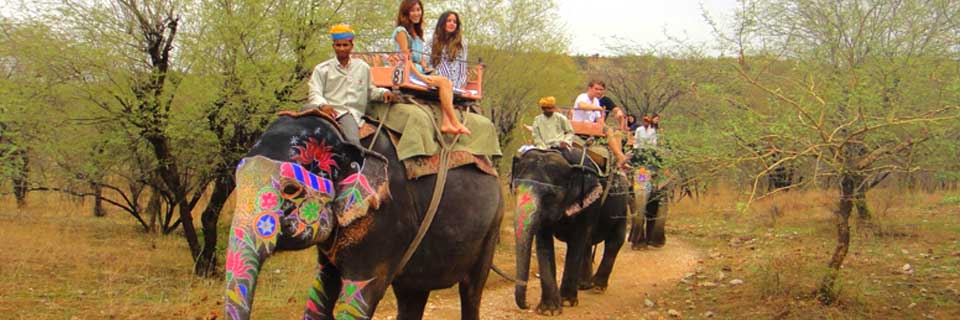 Jaipur City Elephantastic Tour