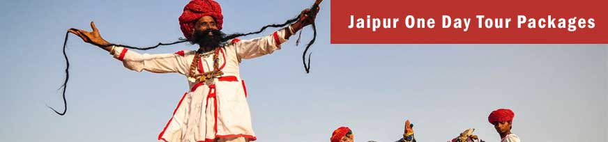 Jaipur One Days Tour Packages
